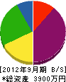 角田組 貸借対照表 2012年9月期