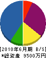 森田緑化造園 貸借対照表 2010年6月期