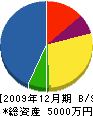 藤川組 貸借対照表 2009年12月期