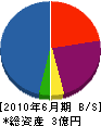 遠藤塗工 貸借対照表 2010年6月期