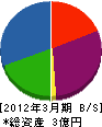堀内商会杵築給油所 貸借対照表 2012年3月期
