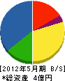 長谷川工務店 貸借対照表 2012年5月期