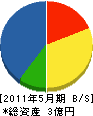 富士電気商会 貸借対照表 2011年5月期