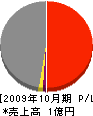 佐藤デンキ商会 損益計算書 2009年10月期