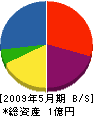 大川建設 貸借対照表 2009年5月期
