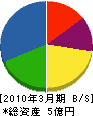 千葉住宅サービス社 貸借対照表 2010年3月期