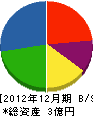 日栄電気 貸借対照表 2012年12月期