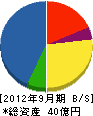 日本防＊工業 貸借対照表 2012年9月期