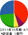 東開発工業 貸借対照表 2011年10月期
