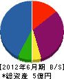 日本駐車場メンテナンス 貸借対照表 2012年6月期