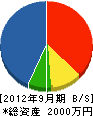 日本建商 貸借対照表 2012年9月期