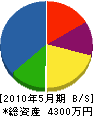 菅家工務店 貸借対照表 2010年5月期