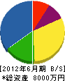 松村組 貸借対照表 2012年6月期