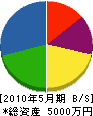 平田管業店 貸借対照表 2010年5月期