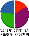 鳥沢設備 貸借対照表 2012年12月期