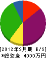 橋本カンテツ 貸借対照表 2012年9月期