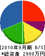 藤田造園 貸借対照表 2010年9月期