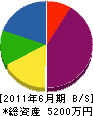 梅井工務店 貸借対照表 2011年6月期