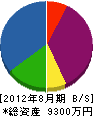蛭田造園 貸借対照表 2012年8月期