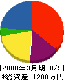 沖澤板金工業 貸借対照表 2008年3月期