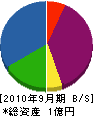 日本レイダン 貸借対照表 2010年9月期