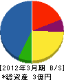 新潟市管工事業（同） 貸借対照表 2012年3月期