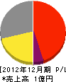 佐藤電機工業所 損益計算書 2012年12月期