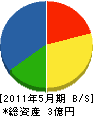 大篠建設 貸借対照表 2011年5月期
