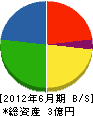濱田建設 貸借対照表 2012年6月期