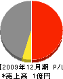 渡辺工匠 損益計算書 2009年12月期