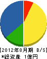 小俣工務所 貸借対照表 2012年8月期