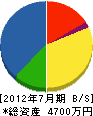 山田水道工業所 貸借対照表 2012年7月期