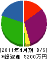 澤田組 貸借対照表 2011年4月期