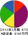 渡辺工務店 貸借対照表 2012年3月期