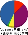 ナカシマ 貸借対照表 2010年8月期