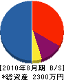 辰島工業 貸借対照表 2010年8月期