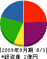 新日本化工 貸借対照表 2009年9月期