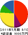 川村工務店 貸借対照表 2011年5月期