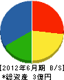 井坂組 貸借対照表 2012年6月期