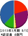 佐宗 貸借対照表 2013年3月期