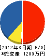 丸輝開発 貸借対照表 2012年3月期