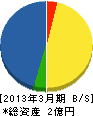 松枝組 貸借対照表 2013年3月期