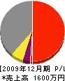 渡辺設備工業 損益計算書 2009年12月期