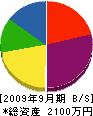 竹蓋塗装工業 貸借対照表 2009年9月期