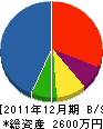ワタナベシステム 貸借対照表 2011年12月期