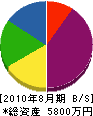 渡辺電設 貸借対照表 2010年8月期