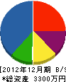 松本電気工業 貸借対照表 2012年12月期