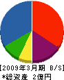 朝日土木 貸借対照表 2009年3月期