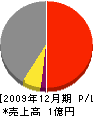 横川目電業 損益計算書 2009年12月期