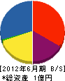 田代工務店 貸借対照表 2012年6月期